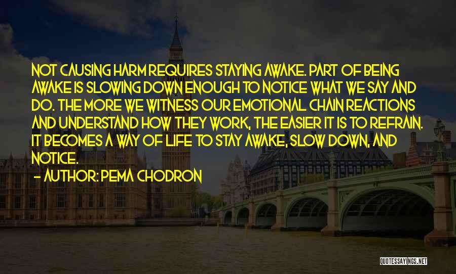Pema Chodron Quotes 1982663