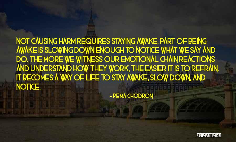 Pema Chodron Quotes 1982663 Pema Chodron Quotes 1982663