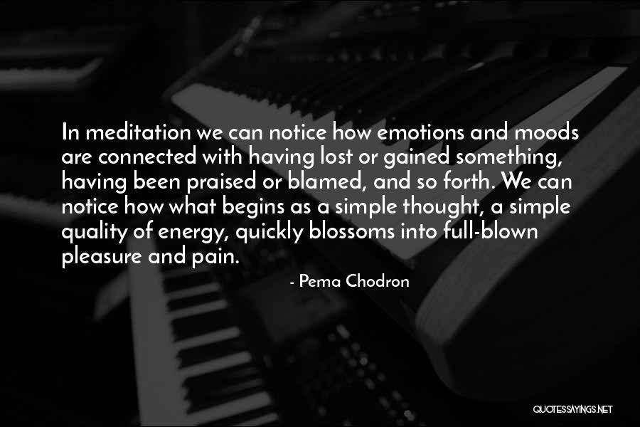 Pema Chodron Quotes 2102770