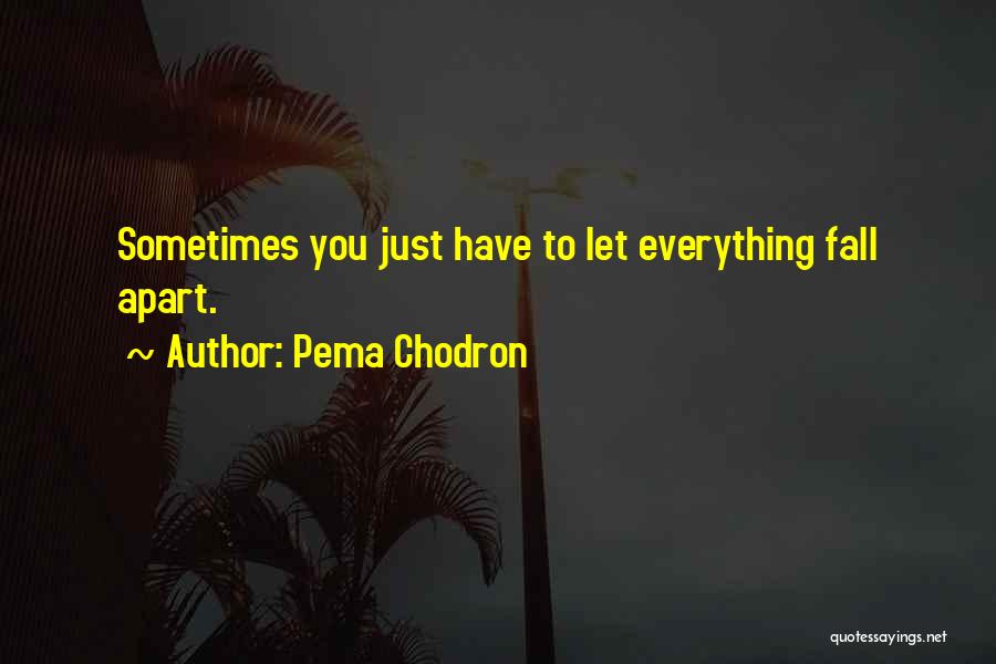 Pema Chodron Quotes 2259661