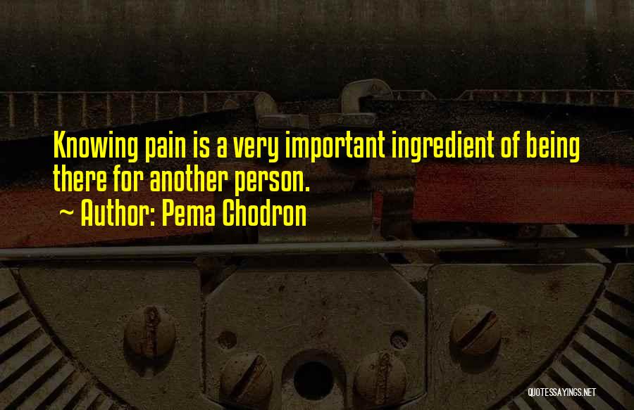 Pema Chodron Quotes 265701