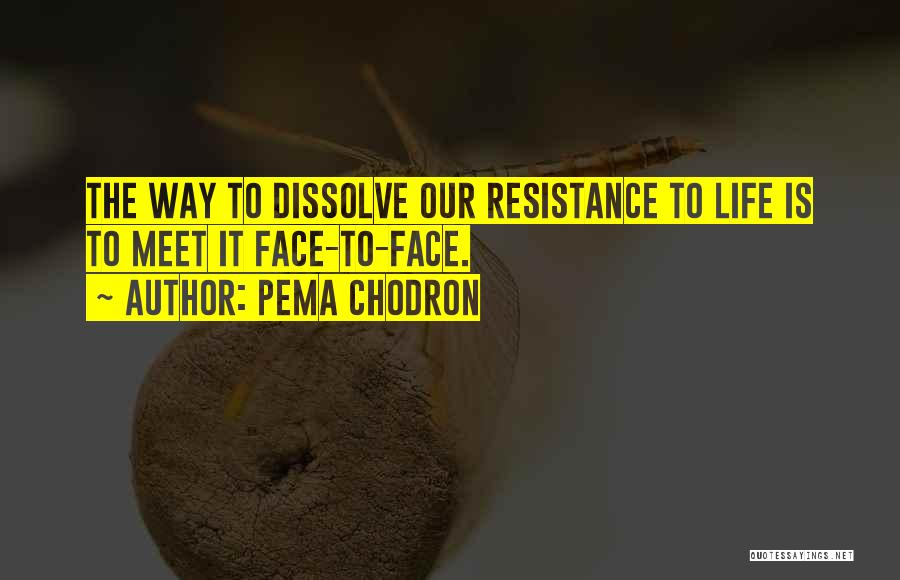 Pema Chodron Quotes 388987