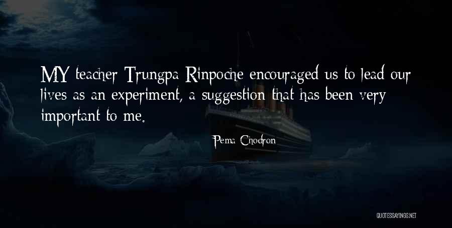 Pema Chodron Quotes 511160 Pema Chodron Quotes 511160