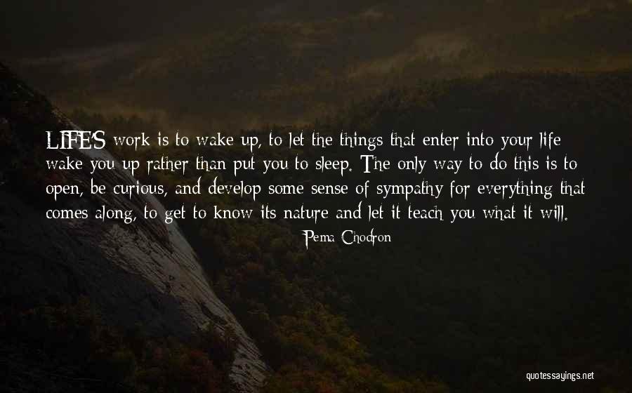 Pema Chodron Quotes 565174