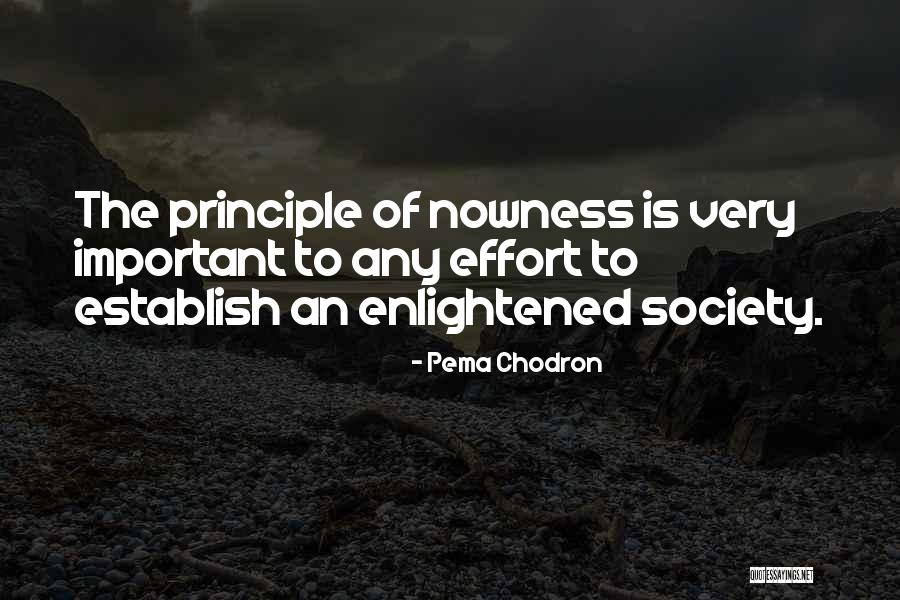 Pema Chodron Quotes 615792 Pema Chodron Quotes 615792