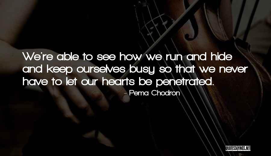 Pema Chodron Quotes 661844 Pema Chodron Quotes 661844