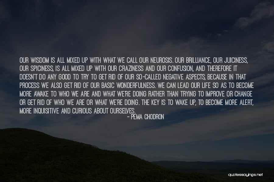 Pema Chodron Quotes 810682 Pema Chodron Quotes 810682