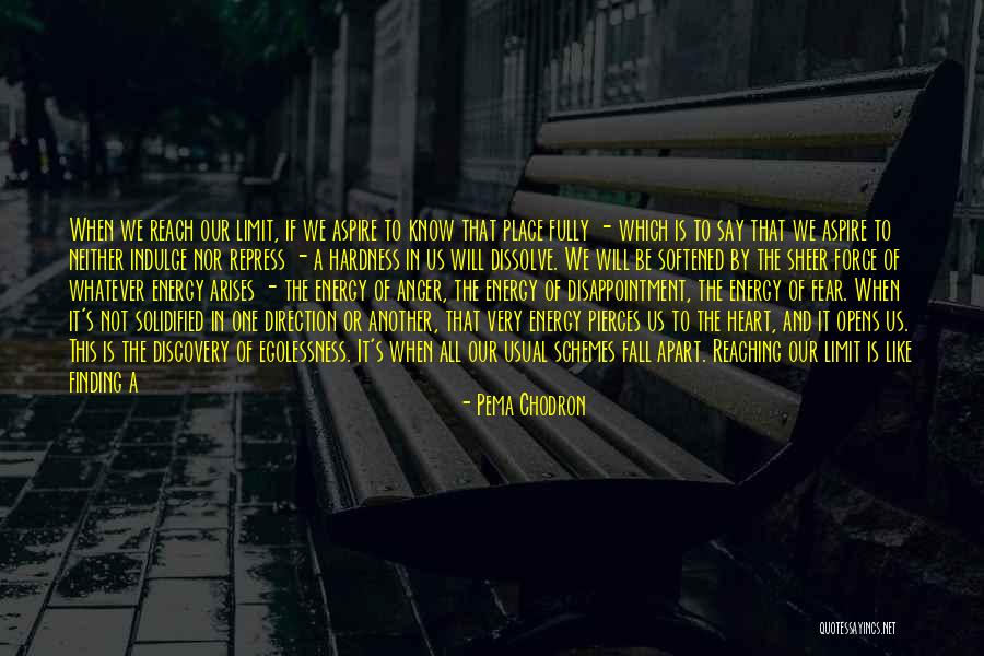 Pema Chodron Quotes 868715 Pema Chodron Quotes 868715