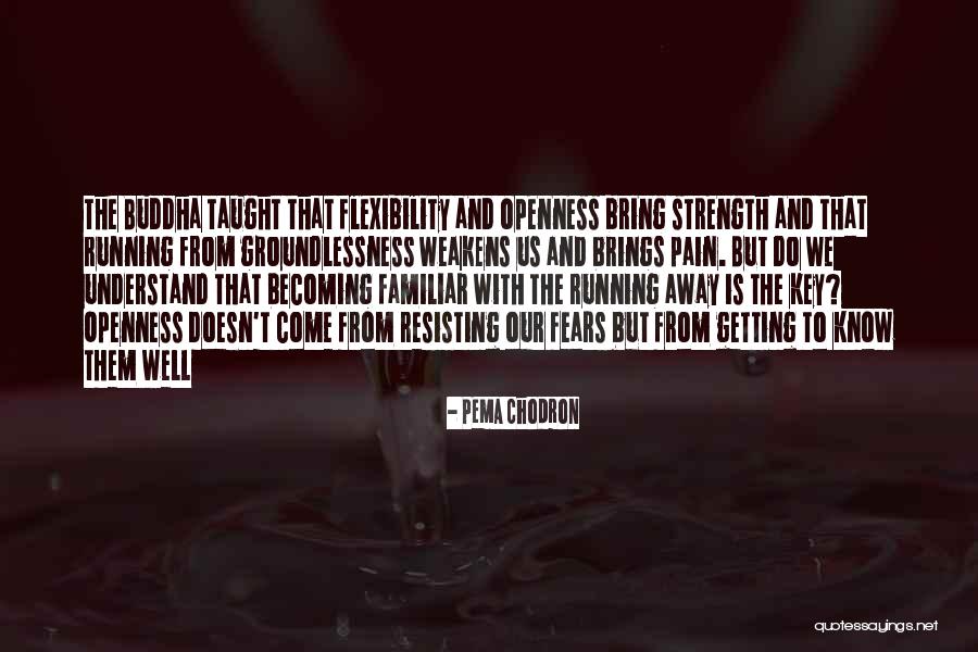 Pema Chodron Quotes 880066 Pema Chodron Quotes 880066