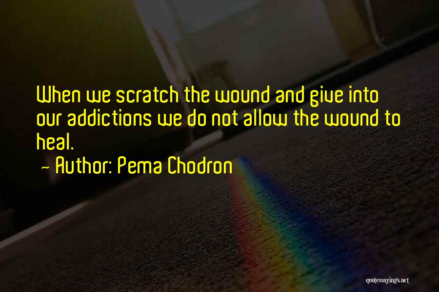 Pema Chodron Quotes 955049