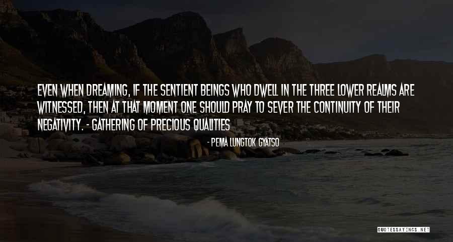 Pema Lungtok Gyatso Quotes 77255 Pema Lungtok Gyatso Quotes 77255