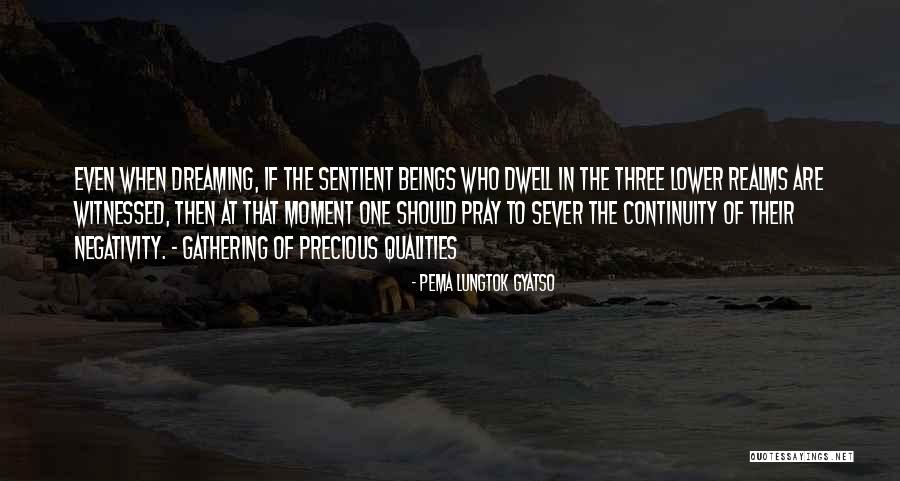 Pema Lungtok Gyatso Quotes 77255