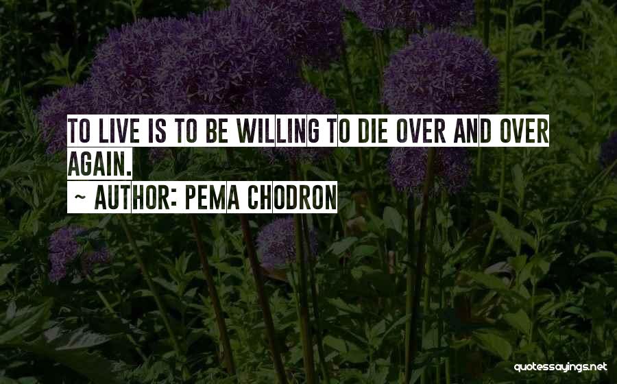 Pema Quotes By Pema Chodron