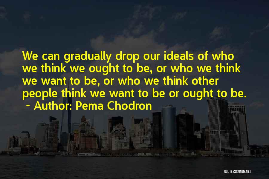 Pema Quotes By Pema Chodron