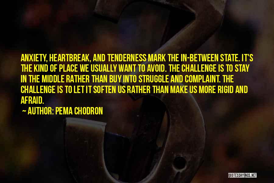 Pema Quotes By Pema Chodron