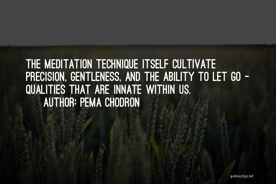 Pema Quotes By Pema Chodron