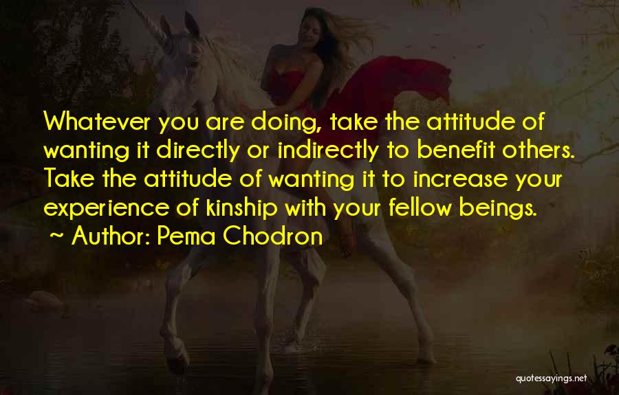 Pema Quotes By Pema Chodron