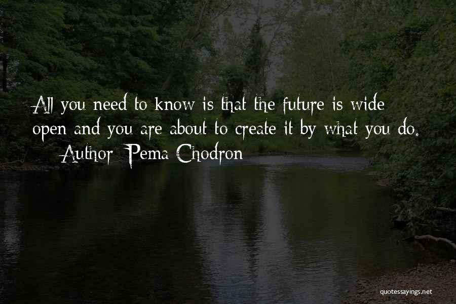 Pema Quotes By Pema Chodron