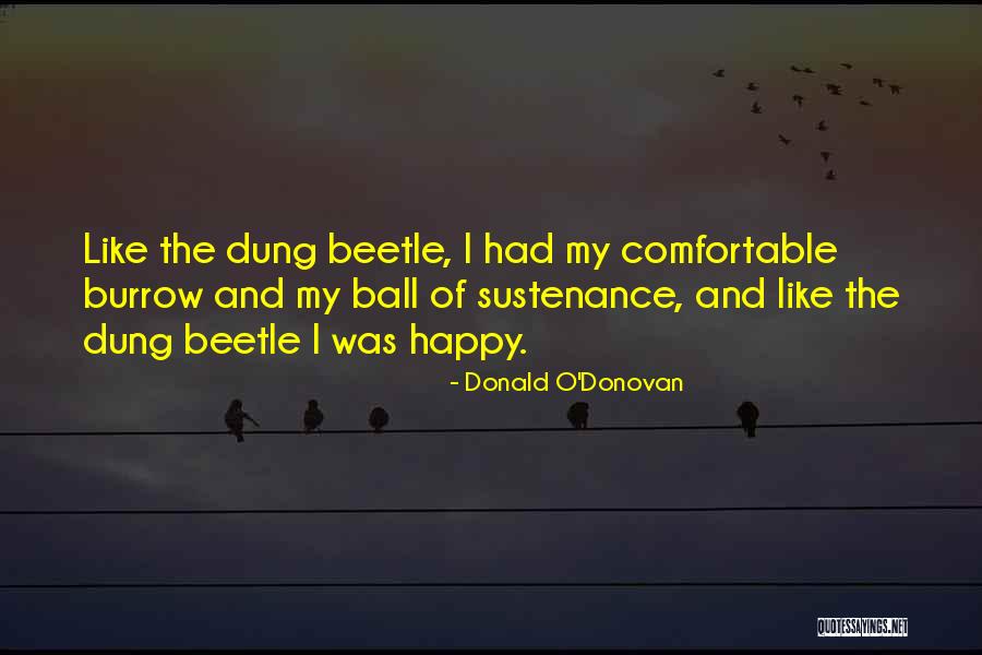 Pembaharuan Islam Quotes By Donald O'Donovan Pembaharuan Islam Quotes By Donald O'Donovan