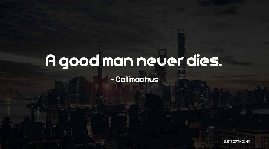 Pembantu Pendaftaran Quotes By Callimachus