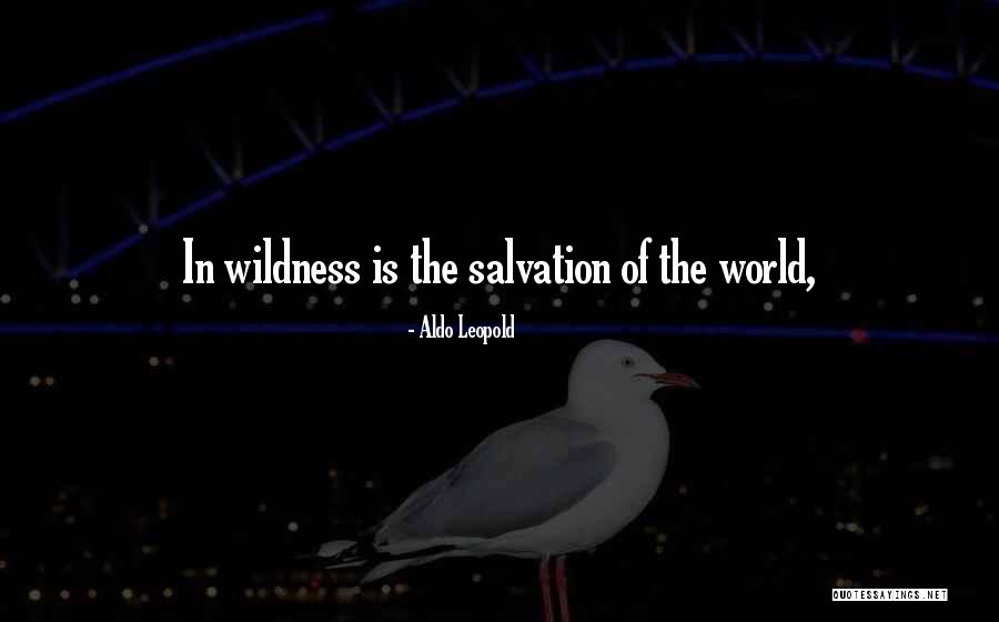 Pembeg L Pastanesi Quotes By Aldo Leopold Pembeg L Pastanesi Quotes By Aldo Leopold