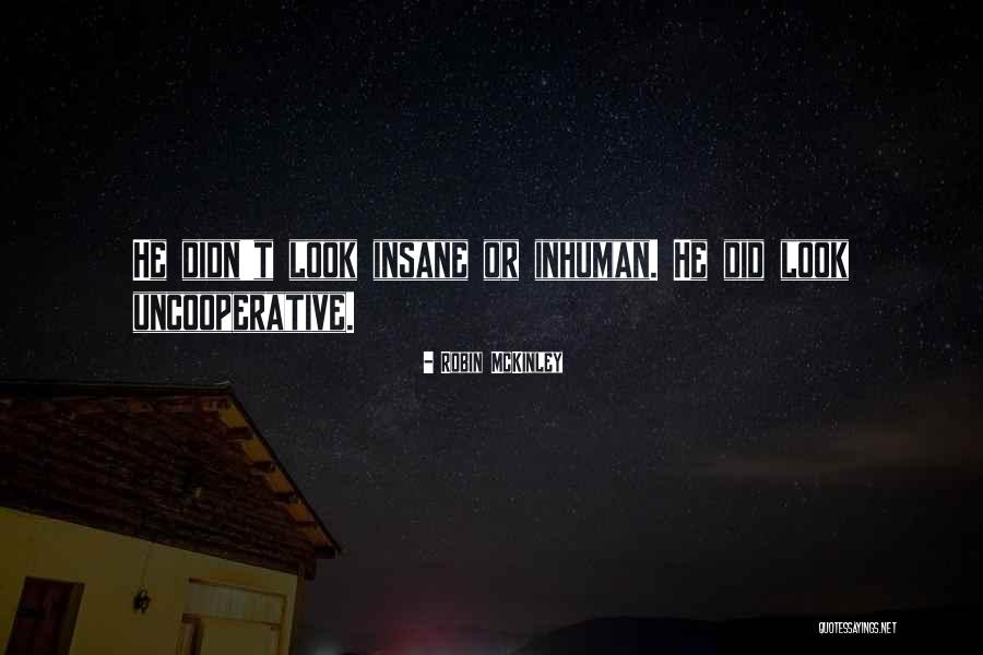 Pembeg L Pastanesi Quotes By Robin McKinley Pembeg L Pastanesi Quotes By Robin McKinley