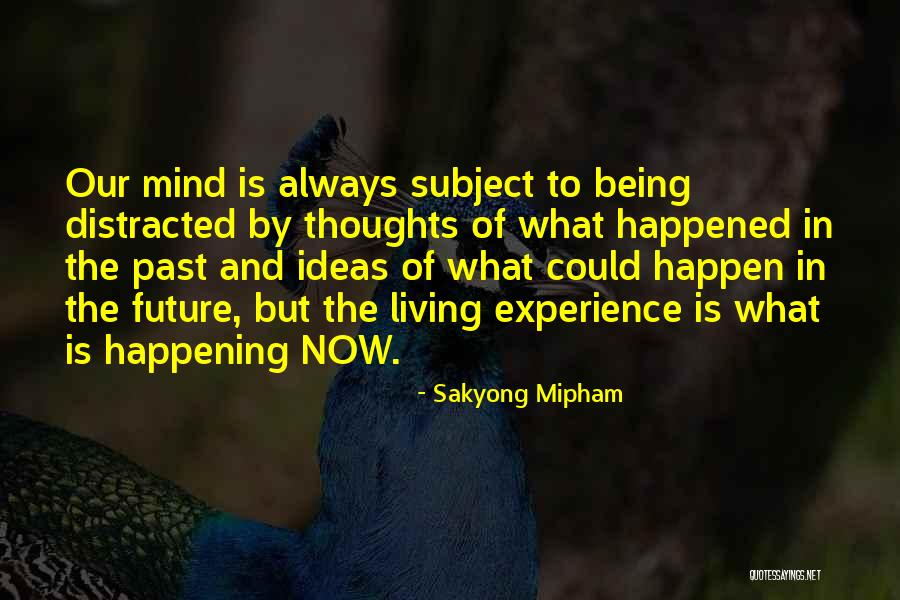 Pemburu Kuis Quotes By Sakyong Mipham Pemburu Kuis Quotes By Sakyong Mipham