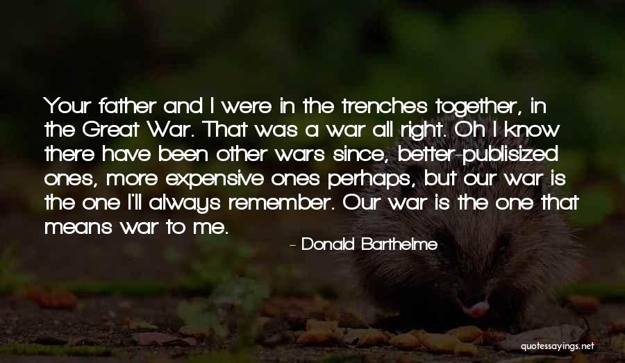 Pemerton Quotes By Donald Barthelme Pemerton Quotes By Donald Barthelme