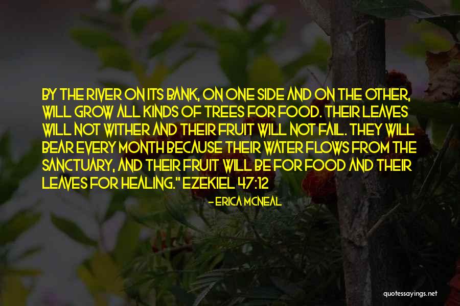 Pemilu 2019 Quotes By Erica McNeal Pemilu 2019 Quotes By Erica McNeal