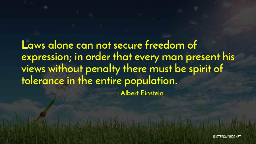 Penalty Quotes By Albert Einstein