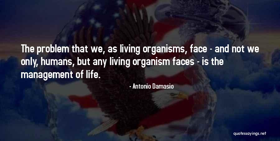 Pencarian Nuptk Quotes By Antonio Damasio Pencarian Nuptk Quotes By Antonio Damasio