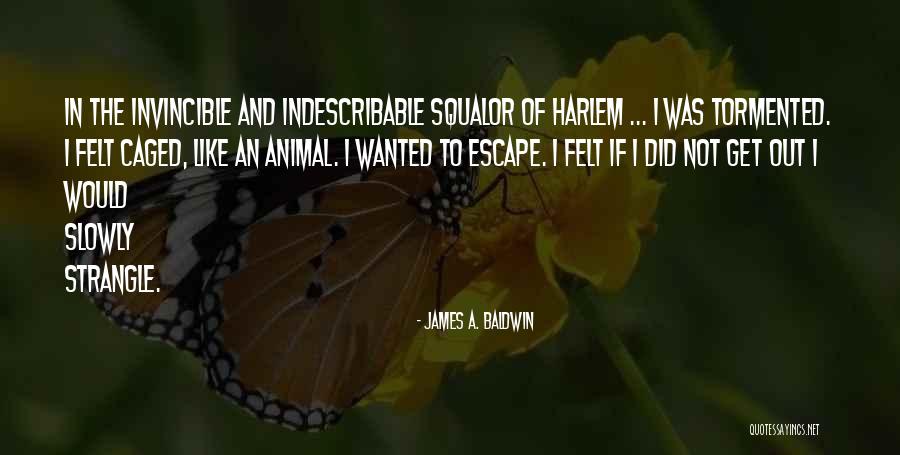 Penchant Define Quotes By James A. Baldwin Penchant Define Quotes By James A. Baldwin