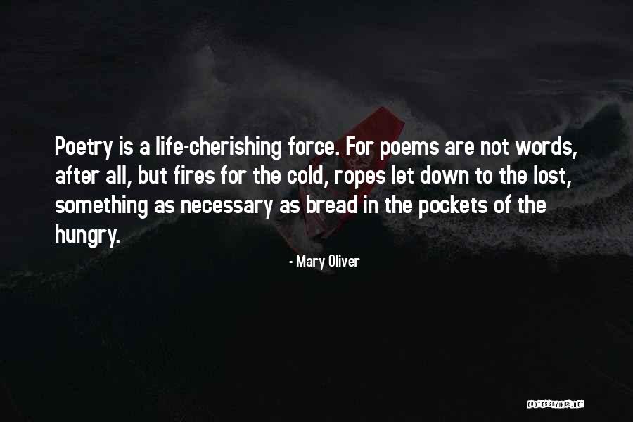 Pendergasts Funeral Home Quotes By Mary Oliver Pendergasts Funeral Home Quotes By Mary Oliver