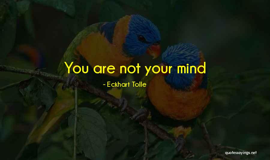 Penderys Spices Quotes By Eckhart Tolle Penderys Spices Quotes By Eckhart Tolle