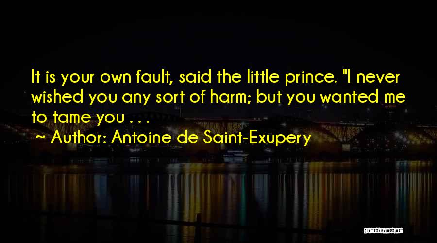Pendientes Quotes By Antoine De Saint-Exupery