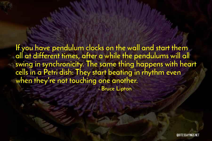 Pendulums Quotes By Bruce Lipton Pendulums Quotes By Bruce Lipton