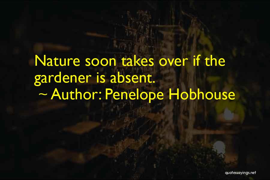 Penelope Hobhouse Quotes 1642748