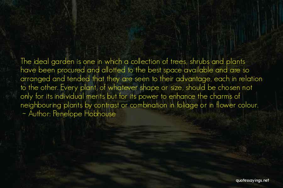 Penelope Hobhouse Quotes 1822802