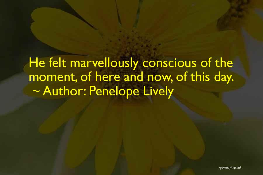 Penelope Lively Quotes 1243181