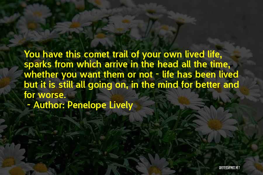 Penelope Lively Quotes 1824961