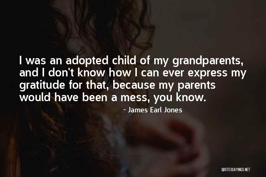 Penerangan Rumah Quotes By James Earl Jones Penerangan Rumah Quotes By James Earl Jones