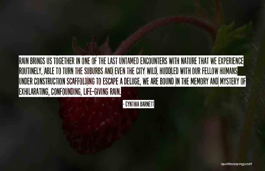 Penerini Coffee Quotes By Cynthia Barnett Penerini Coffee Quotes By Cynthia Barnett