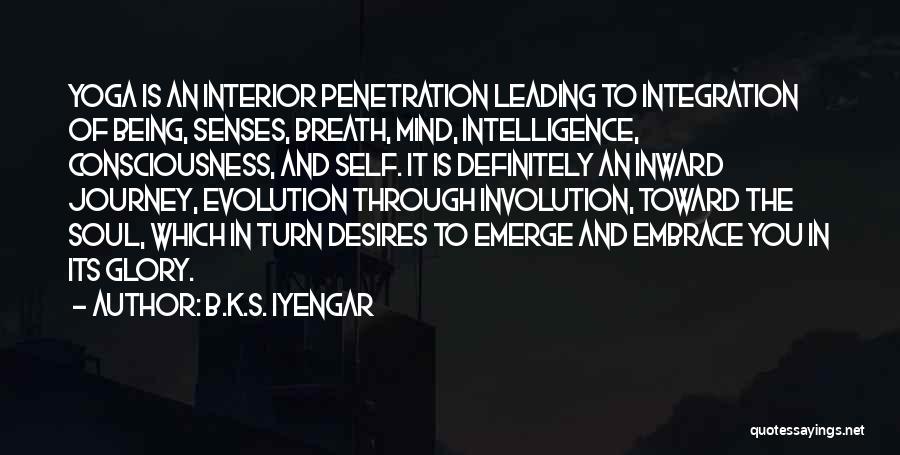 Penetration Quotes By B.K.S. Iyengar