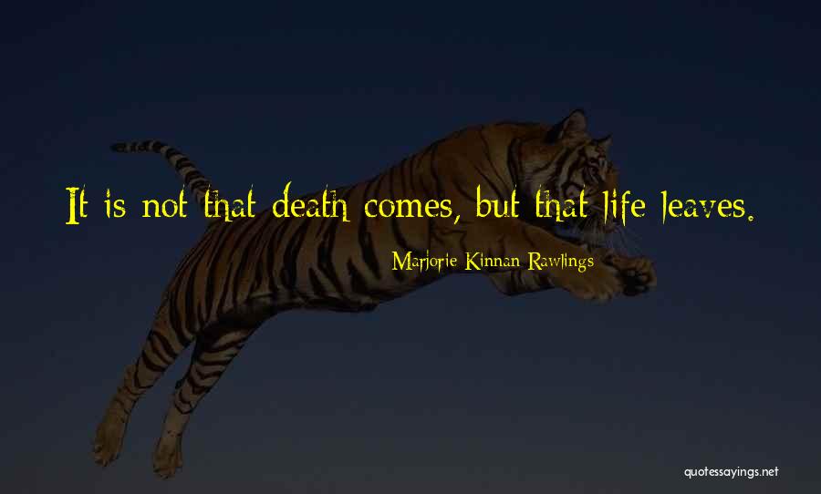 Penetron Quotes By Marjorie Kinnan Rawlings Penetron Quotes By Marjorie Kinnan Rawlings
