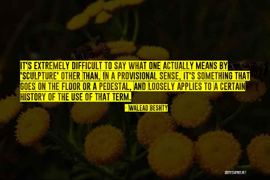 Pengemis Muda Quotes By Walead Beshty Pengemis Muda Quotes By Walead Beshty