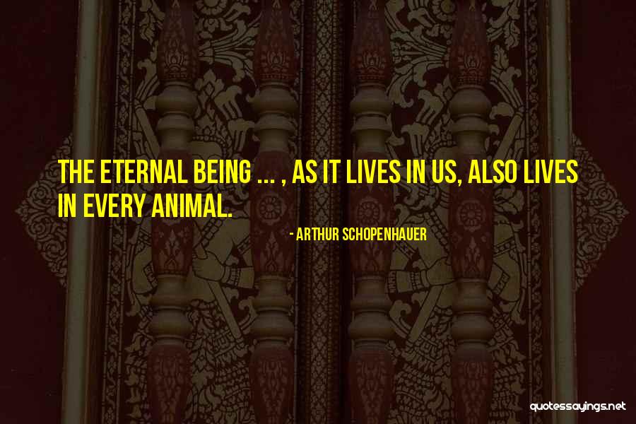 Penggiling Daging Quotes By Arthur Schopenhauer Penggiling Daging Quotes By Arthur Schopenhauer