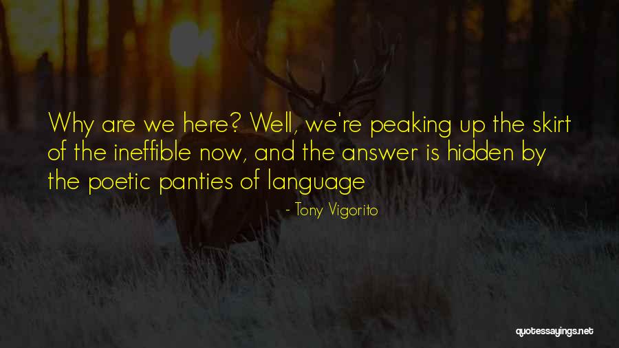 Penguins For Kids Quotes By Tony Vigorito Penguins For Kids Quotes By Tony Vigorito