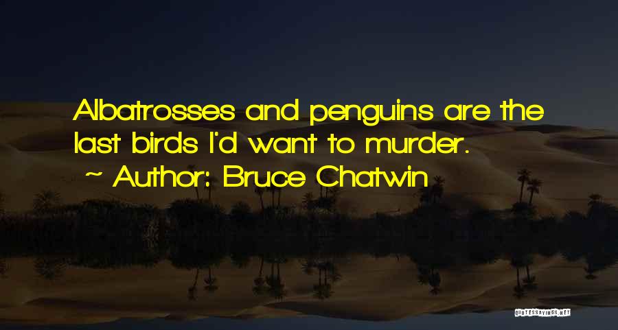 Penguins Quotes By Bruce Chatwin