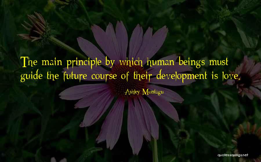 Penicilina G Quotes By Ashley Montagu Penicilina G Quotes By Ashley Montagu