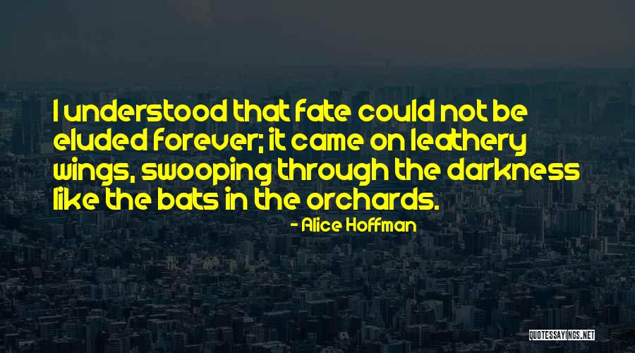 Peninsula Qatar Quotes By Alice Hoffman Peninsula Qatar Quotes By Alice Hoffman